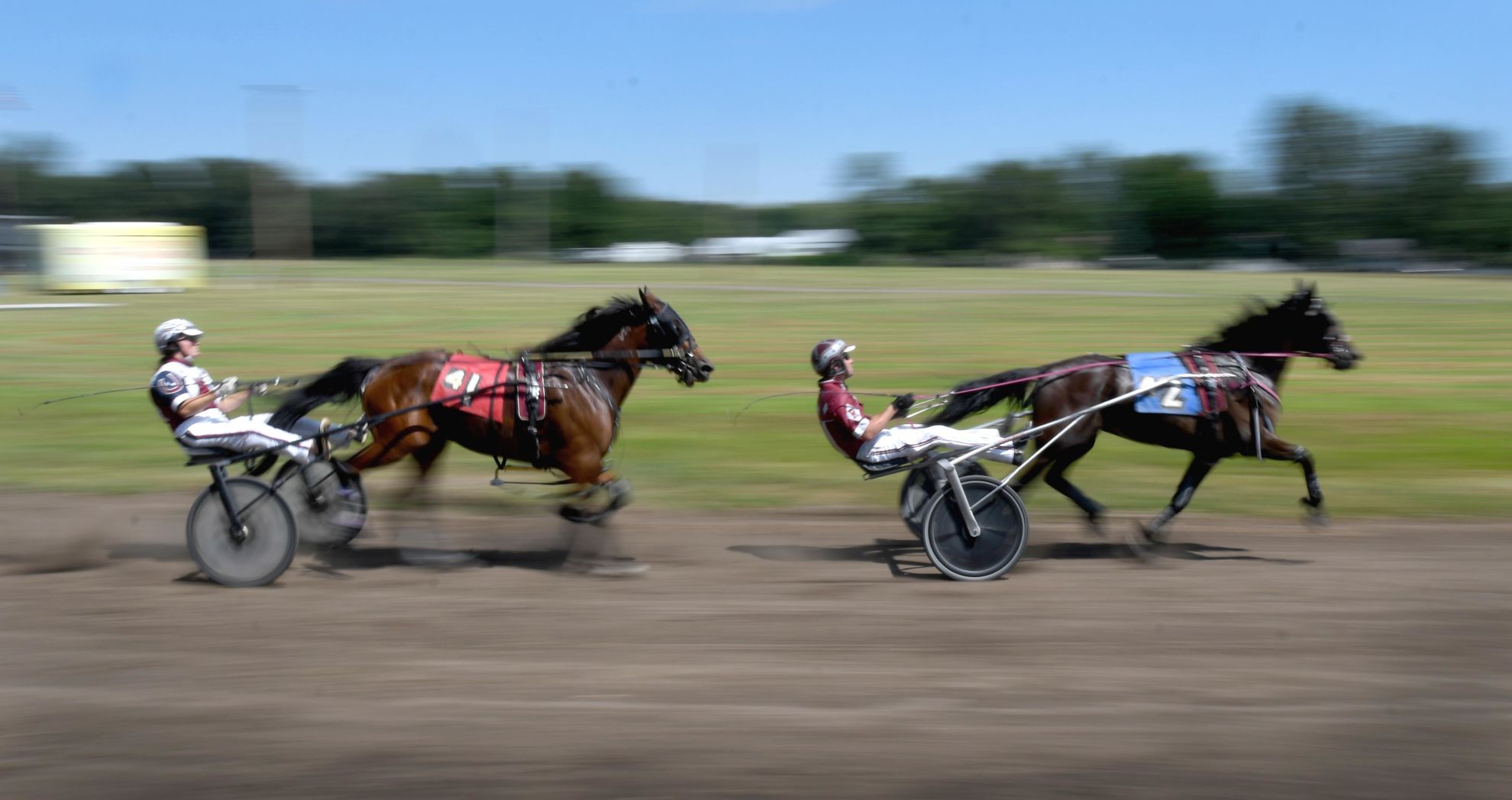 Harness racing 2